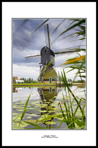 holanda_1_web